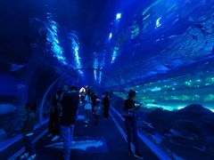 -成都浩海立方海洋公园