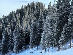 -丝绸之路山地度假区滑雪场