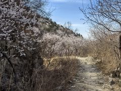 -北京西山国家森林公园