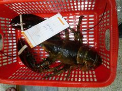 -蚝专家(北滘店)