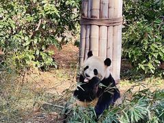 -安吉竹博园