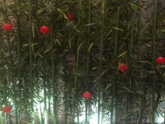 -Zsmart智尚酒店(上海北外滩四川北路东宝兴路地铁站店)