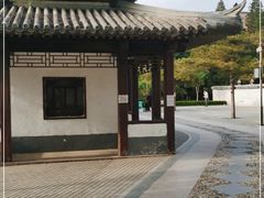 -团结湖公园
