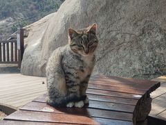 -崂山仰口游览区