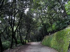 -寂照庵