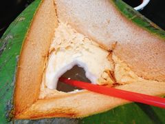 -东椰·海南椰子鸡火锅(朝阳门店)