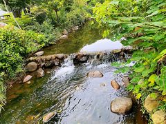 -白马涧龙池景区