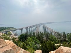 -星海湾跨海大桥