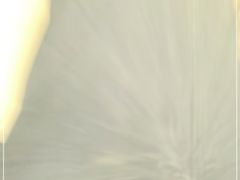 -朴小妹人参鸡汤火锅(长白山万达店)