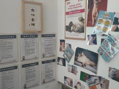-萌兽医馆·眼科·异宠专科(三里屯店)