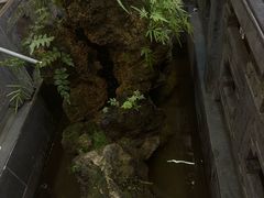 -缘来聚·徽菜名店(黄山宏村店)