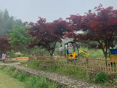 -宁波浙东大竹海景区