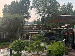 -蘇河湾·新鲁菜·泰山宴(泰山店)