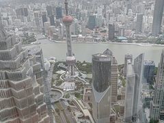 -上海柏悦酒店·世纪100牛排馆