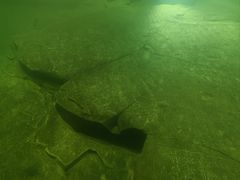 -白鹤梁水下博物馆