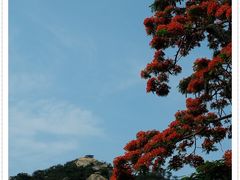 -厦门国家会计学院