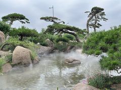 -罗红摄影艺术馆