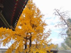-承恩寺