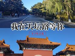 -北陵公园