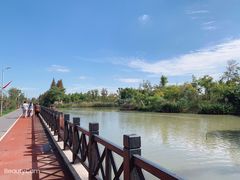 -上海长兴岛郊野公园