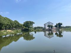 -水岸居湖景农家乐·阳澄湖大闸蟹