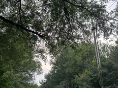 -沈阳市东陵公园