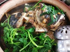 鱼头煲-华仔土鸡店(创意产业园店)