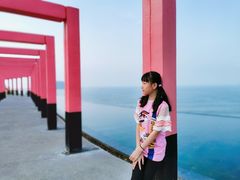 -漳州滨海火山岛自然生态风景区