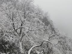 -瓦屋山景区