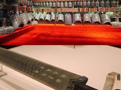 -海合安武汉极地海洋公园