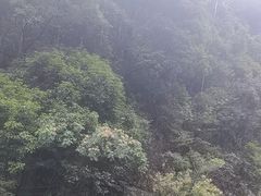 -泽雅七瀑涧景区
