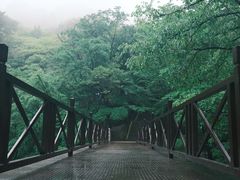 -崂山九水游览区