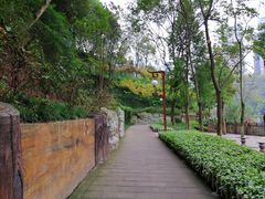 -重庆彩云湖湿地公园