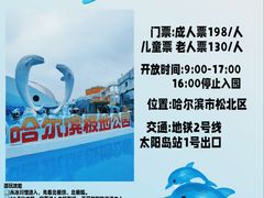 -龙塔