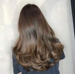 -风向标WIND VANE SALON