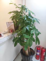 -金都微美·精准护肤·疗愈SPA