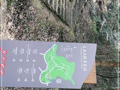 -上海佘山国家森林公园天马山园