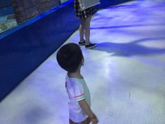 -苏州海洋馆