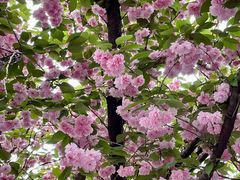 -苏州河梦清园环保主题公园