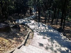 -火炉山森林公园