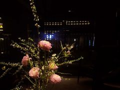 -曲水兰亭(北京四惠店)