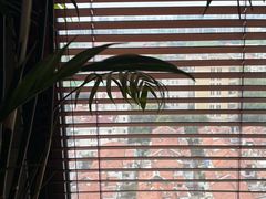 -九霄会馆·太极(现代大厦店)