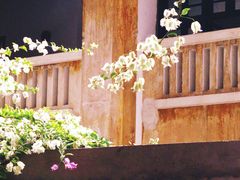 -广州市紫泥堂文化创意园景区