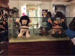 upload_pic-济州岛泰迪熊博物馆