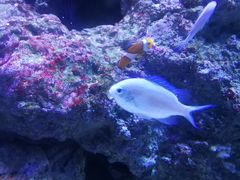 -成都浩海立方海洋公园