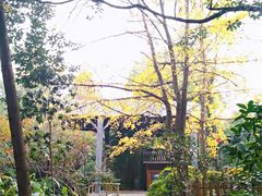 -成都市活水公园