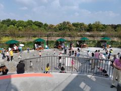 -季高兔窝窝亲子园(上海薰衣草公园店)