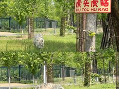 -秦皇岛野生动物园
