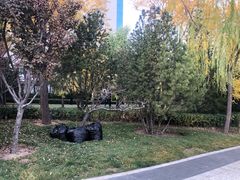-迎泽公园
