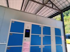 -广州白江湖森林公园